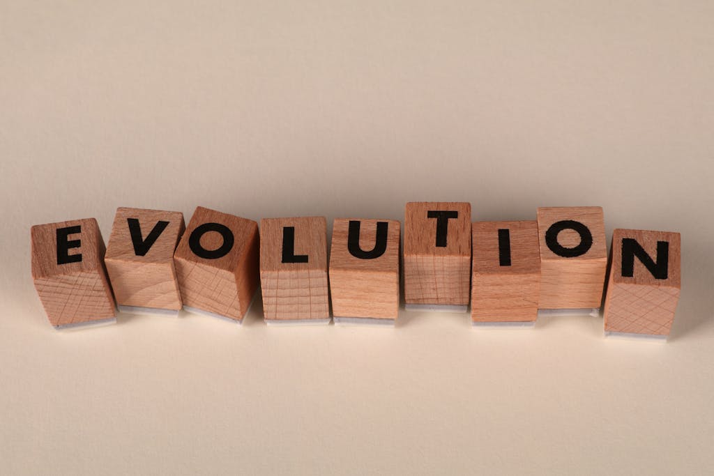 wooden square blocks spelling out 'evolution', signifying the process of how to stop living in fear, step by step